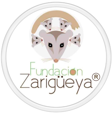 Fundación Zarigüeya FUNDZAR